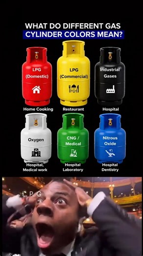 Did you know? Different gas cylinder colors have different meanings!☠️ #lpg #colors
