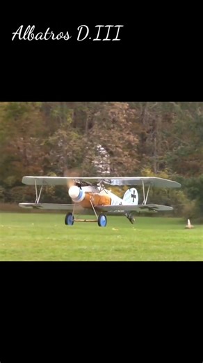Albatros D.III Jagdflugzeug