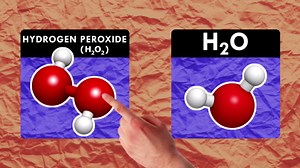Reactions:Elephant Toothpaste Season 3 Episode 25