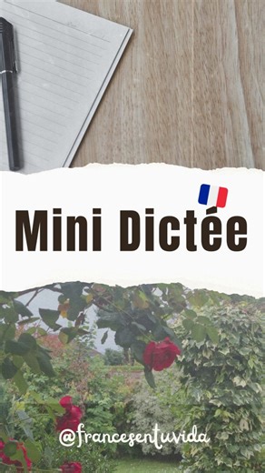 Mélanie Sarah B on Instagram: "Mini Dictée : 95% d'erreurs sur l'accord ! ✍️ ​ Le participe passé... le retour du cauchemar ! 😱 ​ C'est le moment de tester tes réflexes de grammaire française. Cette phrase a l'air simple, mais elle cache une règle très précise sur les verbes pronominaux. 🇫🇷 ​1️⃣ Écoute bien la dictée. 2️⃣ Écris ta proposition en commentaire. 3️⃣ Ne triche pas en regardant les autres ! 😉 ​Je posterai la correction et l'explication de l La règle dans une vidéo demain. Bonne ch