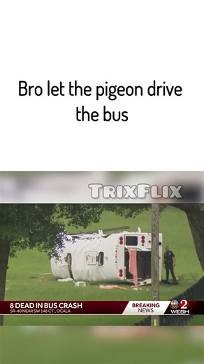 don't let a pigeon drive a bus
