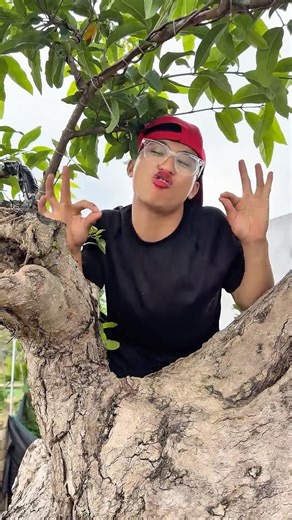 Girl as Precious as a Jewel… But She Climbs Trees Like a Pro! 😂🌳 #outdoorkids #cutefunnykids