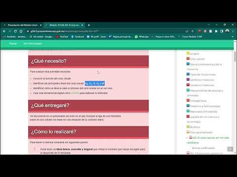 Actividad integradora 3 módulo 16