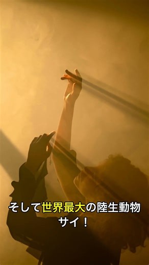 地球最大の動物たち 🐘🤯 #shorts