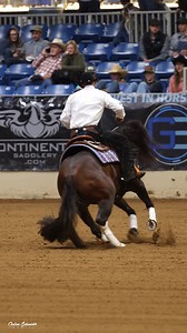 22K views · 676 reactions | Your 2025 National Reining Breeders...