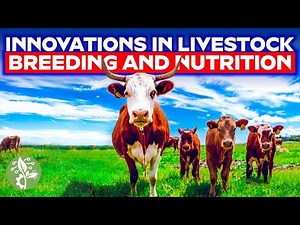 Incredible Biotechnology Innovations in ANIMAL breeding and nutrition