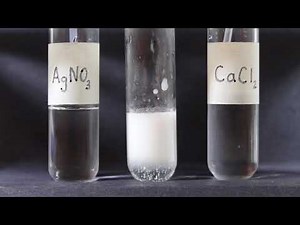 Double Displacement lab v2