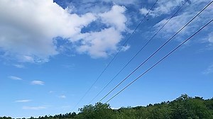 1.1K views · 128 reactions | A Ruby throated Hummingbird takes flight after a hard smack into some immovable object. She was bleeding, head injured, and not flying on arrival but quickly regained her amazing flight abilities. We love caring for hummingbirds. They are so rough and tough, full of confidence. | Acadia Wildlife | Facebook