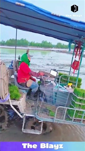 This Rice Planting Machine Is AMAZING! Farmers Are Changing The Game!