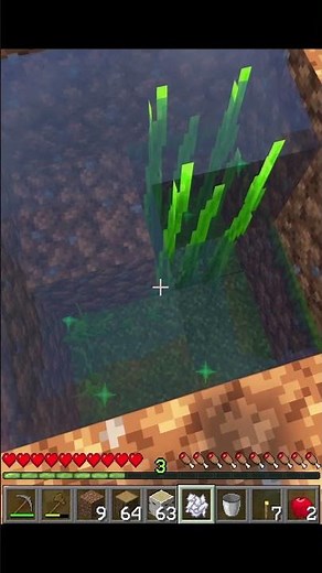 INFINITE Water From ONE Source In Minecraft One Block Skyblock