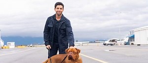 'Turner & Hooch' Trailer: The '80s Comedy Is A Disney  Series Now Because Dogs Are Still Very Good - SlashFilm