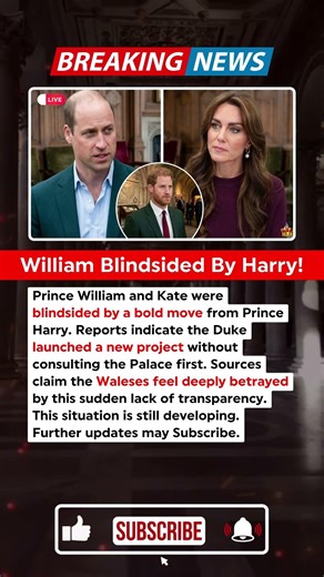 Harry makes a move that has William absolutely fuming #royal #drama #princewilliam