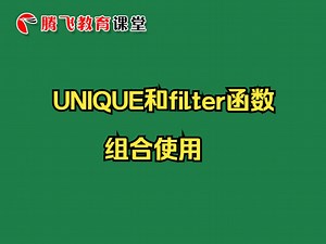 UNIQUE和filter函数组合使用
