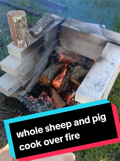 Cooking Whole Sheep and Pig for Lunch