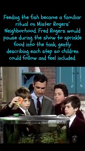 Fact-ish on Instagram: "Mister Rogers’ Neighborhood officially debuted nationally on February 19, 1968 on NET (National Educational Television), which later became PBS. 📺: Mister Rogers’ Neighborhood (1968–2001) #tvshow #history #fyp"