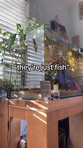 816K views · 7.6K reactions | Small animals need proper care too!!! | Stellar Stock | Facebook