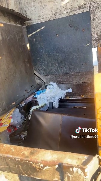 Ultimate Garbage Disposal Cleaning Hacks Revealed