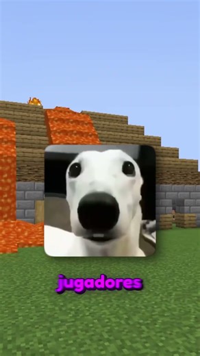 Survival Earth #minecraft #minecraftjava #minecraftbuilding #viral #minecraftrealistic #tierra #java