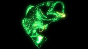 Fishing Bass Images – Browse 162,407 Stock Photos, Vectors, and Video