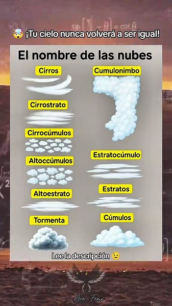 Clasificación de Nubes: Tipos y Características