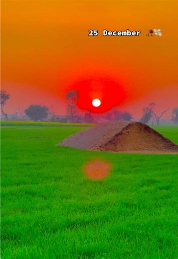 Exploring Pindawale: A Glimpse into Amir Sona Pand 147