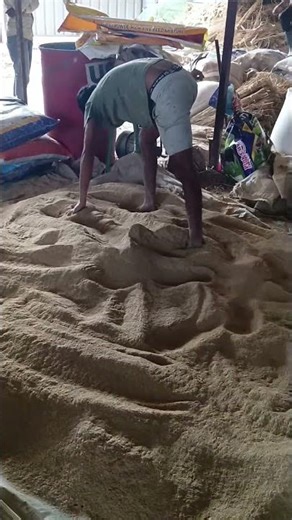 Mixing of cow feed for high milk productivity.