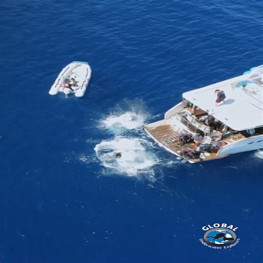 𝗘𝗻𝘁𝗿𝘆 & 𝗘𝘅𝗶𝘁 𝗧𝗲𝗰𝗵𝗻𝗶𝗾𝘂𝗲𝘀 – 𝗣𝗮𝗿𝘁 𝟭 (𝗜𝗻𝘁𝗿𝗼𝗱𝘂𝗰𝘁𝗶𝗼𝗻) Solid entry and exit techniques make every dive safer and more efficient, and they’re part of what sets skilled divers apart. In this five-part series, we’ll cover simple, effective ways to refine your approach in and out of the water. Stay tuned for the next sections. #GUEdiving #GlobalUnderwaterExplorers #DiveTraining #ScubaSkills #DiverTips #TechnicalDiving #ScubaDiving #TeamDiving #DivingSafety #UnderwaterExp