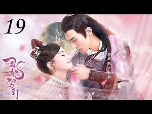 【ENGSUB】My Dear Lady EP19（Zhang Sifan/Hu Yixuan）Chinese drama | My Dear Destiny