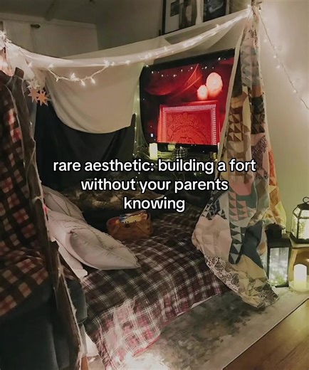 Rare Aesthetic: Building a Fort Privately
