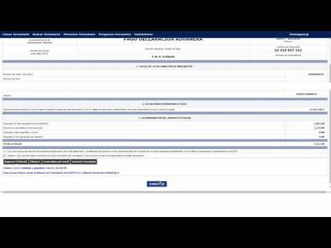 Videotutorial Declaracion Aduanera
