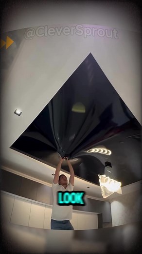 The Clever Sprout on TikTok