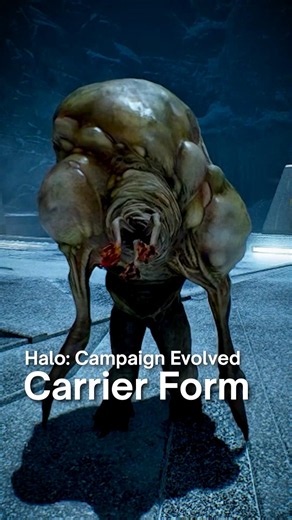 Every Type of Flood Form | Halo: Campaign Evolved (2026)