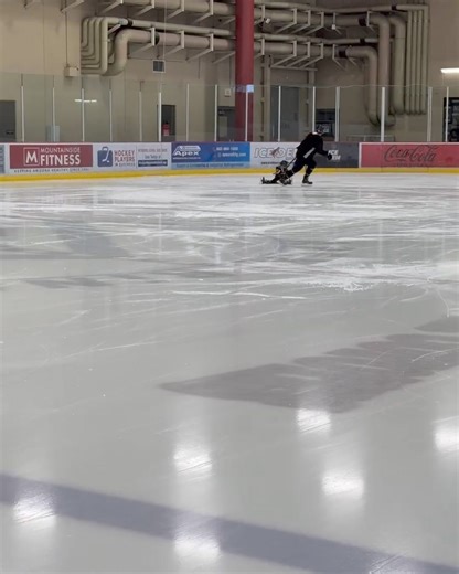 19K views · 126 reactions | Arizona Coyotes on Reels | Facebook