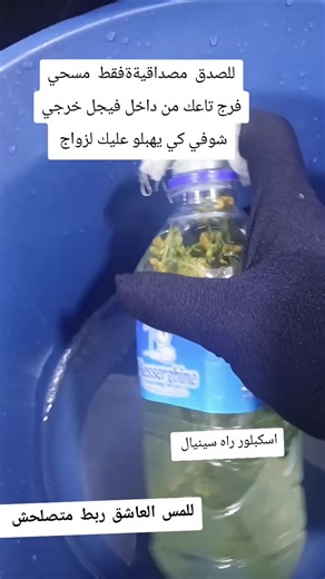 Vidéos de Lamar✨️ (@famous.meriem.dz) avec الصوت الأصلي - zeusdblack