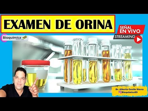Interpretación del examen de orina (Análisis de orina)