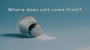 Where does salt come from?