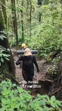 Hutan gunung Kerinci