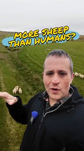 How Hard It Is To Farm In Iceland 🧑🏻‍🌾 | Gold Shaw Farm