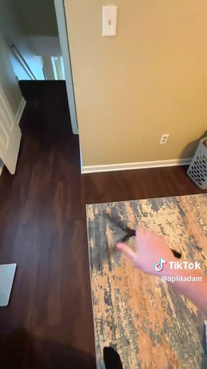 Learn Balisong Tricks Easily with a Trainer