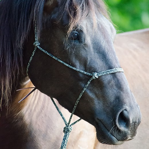 Parelli Horseman's Halter