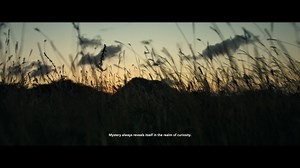 From the diversity of its population, to a variety of activities, from its beaches to the local landscapes. Aruba was truly a magical place growing up and this short video reflects that. The Aruba Tourism Authority in collaboration with Mario Michael Gonsalves, a local, young up and coming Cinematographer and Director, present you this short film portraying key moments of growing up as a local on the One happy island. Video premiere at the Aruba Art Fair 2018 #aruba #discoveraruba #onehappyislan