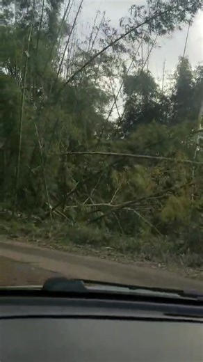 3.7K views | Sean Johnson on Reels | Facebook