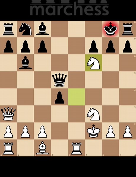 Checkmate by Richardson! #chess #chessgame #szachy #chessmemes #mat #checkmate #chesstactics #queensacrifice #marchess #marcelkanarek #Richardson