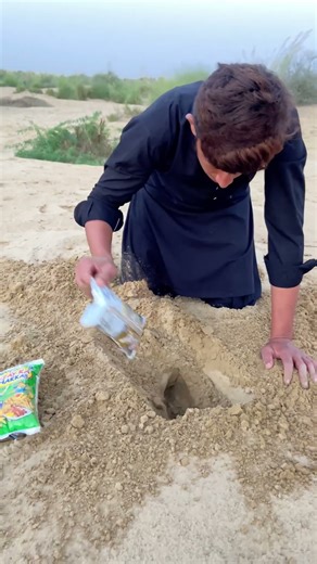 Extracting a food and drink in desert sand #survival #campping #outdoors #experiment #villagelife