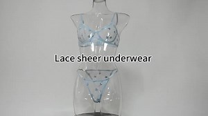 Sexy Transparent Lace Lingerie Set Women Floral Embroidery Underwear Wholesale Sheer Nightwear Bra and Thong Custom Logo