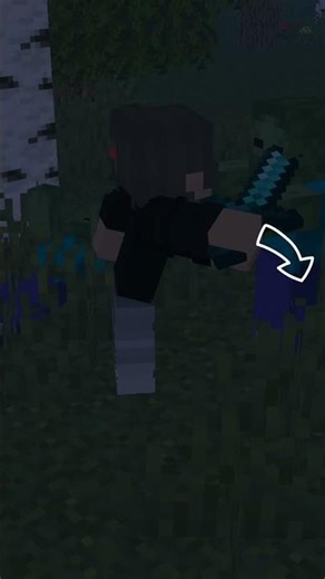 The evil zombies attacking the boy but....|😮😮#minecraft #minecraftshorts #minecraftanimation