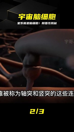星系竟是腦細胞？100億大腦意識竟是縮小版宇宙網 #天文科普 #宇宙网 #大脑意识 #星系结构 #神经投影