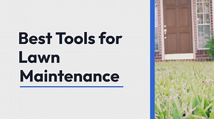 Best tools for lawn maintenance