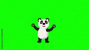 Panda bear dancing and moving 2d animation on green screen