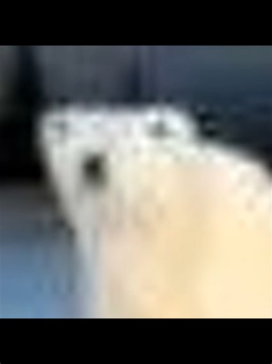 Timmy Wimmy (@timmysgametime)’s videos with original sound - Timmy Wimmy